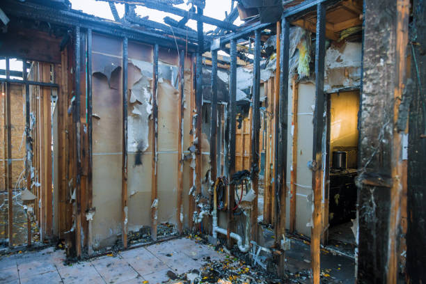 Professional Soot Cleanup technician working in Monticello, KY
